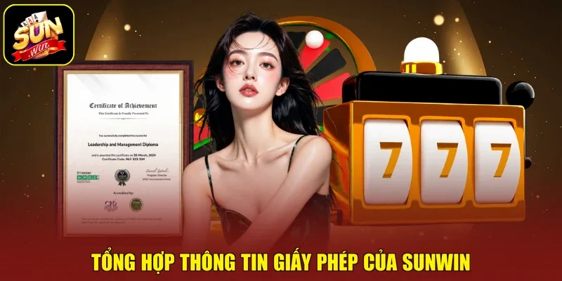 Tổng hợp thông tin giấy phép của Sunwin